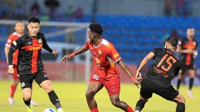 Hoàng Đức và Ninh Bình khởi đầu như mơ tại V-League: Mở cửa miễn phí trận gặp Thanh Hóa