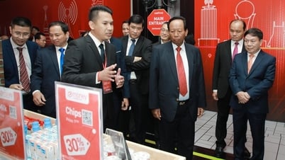 Doanh nghiệp Việt chủ động tìm kiếm cơ hội đầu tư ra nước ngoài