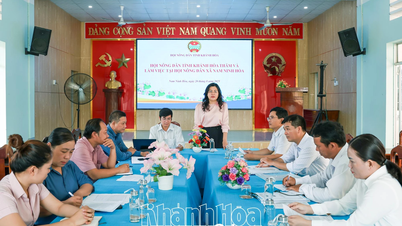 Lãnh đạo Hội Nông dân tỉnh thăm, làm việc tại xã Nam Ninh Hòa
