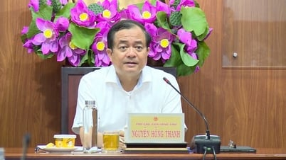 Vorbereitung der Organisation der Konferenz zur Verbindung der Lieferkette von Import-Export-Waren und E-Commerce in der Provinz Tay Ninh im Jahr 2025