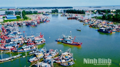 Ninh Bình quyết liệt hành động nhằm gỡ “thẻ vàng” của EC
