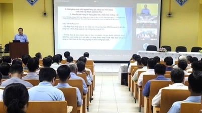 Cần Thơ bàn giải pháp nâng cao giá trị xuất khẩu sầu riêng