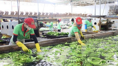 "Quả ngọt" từ tái cơ cấu ngành nông nghiệp