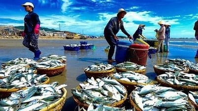 Thúc đẩy tiêu thụ thủy sản nội địa để cân bằng phát triển