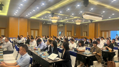 Đại diện hơn 100 doanh nghiệp được tập huấn sử dụng phần mềm quản lý tiêu chuẩn du lịch xanh