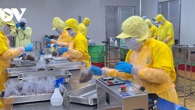 Kinh tế tư nhân: Làm thế nào để “vùng xám” trở thành “vùng sáng” trong nền kinh tế?
