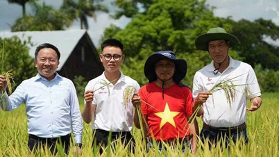 VTV1 và Đài Truyền hình Cuba phát sóng đồng thời phim “Hạt giống hạnh phúc”
