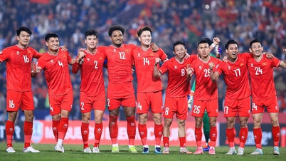 L'équipe du Vietnam finalise son « équipe bleue », M. Kim et les U.23 du Vietnam se concentrent sur l'Asie