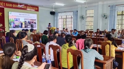 Trồng ngô làm thức ăn chăn nuôi phù hợp với vùng đất Cát Tiên