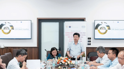 Xây dựng mô hình quản lý toàn diện người bệnh võng mạc ở Việt Nam