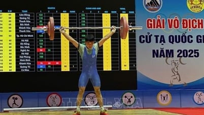 Khai mạc Giải Vô địch Cử tạ Quốc gia năm 2025