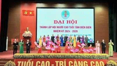 Triển khai thực hiện Chiến lược Quốc gia về người cao tuổi đến năm 2035, tầm nhìn đến năm 2045