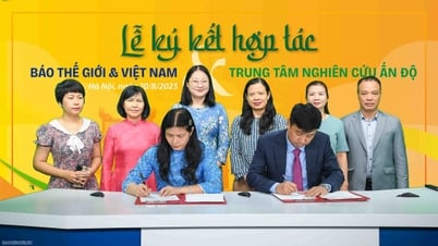 Báo Thế giới và Việt Nam, Trung tâm Nghiên cứu Ấn Độ ký kết hợp tác về truyền thông, nâng cao hiệu quả công tác đối ngoại