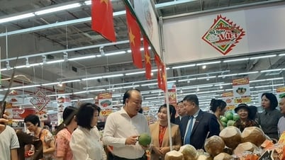 Tôn vinh 160 đặc sản vùng miền tại Lễ hội tự hào đặc sản Việt 2025