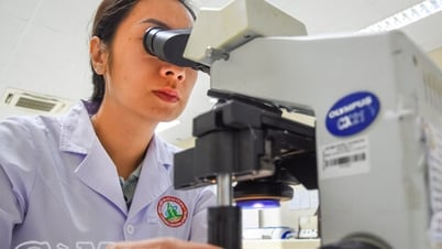Bước ngoặt trong điều trị huyết học tại Cà Mau