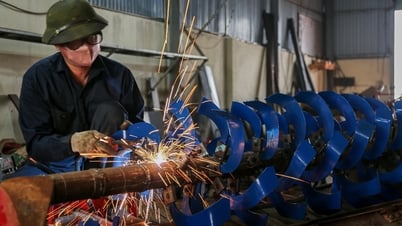 Những nông dân không bằng cấp, sáng chế máy móc đi 5 châu