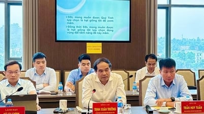 Lào Cai: Định hướng phát triển hạ tầng công nghiệp công nghệ số