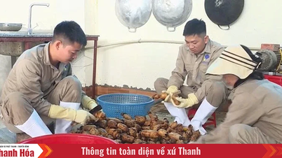 Đẩy mạnh chế biến sâu để nâng cao giá trị nông sản