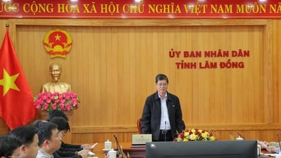 Ngoài đường giao thông, hệ thống thoát nước phải được xem là ưu tiên của ưu tiên