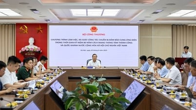 Bảo đảm cấp điện an toàn, ổn định dịp đại lễ 2/9