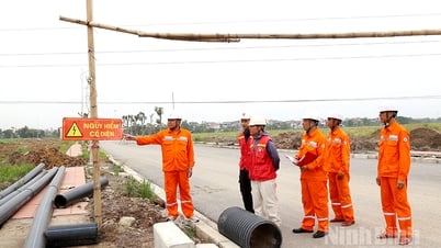 Kiểm tra việc thực hiện các quy định về bảo vệ an toàn công trình lưới điện cao áp