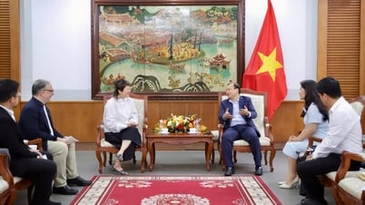 Ständiger Stellvertretender Minister Le Hai Binh empfing die Generalsekretärin der Asian Cinema Network Alliance, Lorna Tee