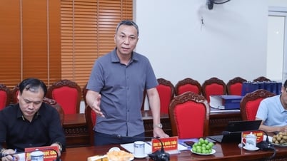 Chủ tịch VFF thăm LĐBĐ Thanh Hóa, mong có thêm tài năng cho đội tuyển quốc gia