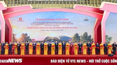 Vingroup là doanh nghiệp tư nhân nộp ngân sách lớn nhất cả nước