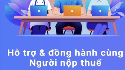 Cổng thông tin thuế hỗ trợ doanh nhân trong thủ tục thuế
