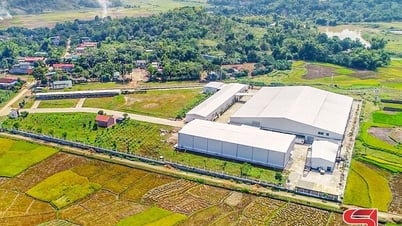 Đẩy nhanh tiến độ hoàn thiện hạ tầng cụm công nghiệp