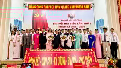 Phó Chủ tịch Thường trực UBND tỉnh Nguyễn Tuấn Thanh dự Đại hội đại biểu Đảng bộ xã Phù Mỹ Nam
