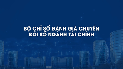 Triển khai Bộ chỉ số đánh giá chuyển đổi số ngành Tài chính