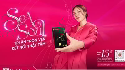 SeABank kết hợp cùng ca sĩ Mỹ Tâm ra mắt thẻ Visa SeASoul 2in1