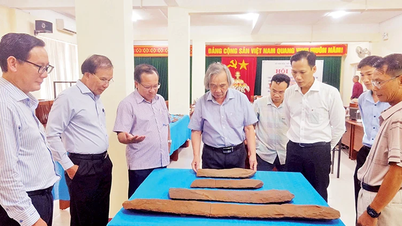 Phát hiện mới trong nghiên cứu khảo cổ học tại Gia Lai