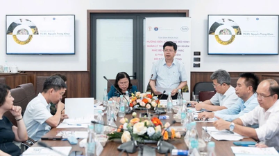 Xây dựng mô hình quản lý người bệnh võng mạc và phù hoàng điểm do đái tháo đường