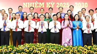 Đại hội đại biểu Đảng bộ các cơ quan Đảng TPHCM lần thứ I, nhiệm kỳ 2025-2030: Phát huy trí tuệ tập thể, xây dựng Đảng bộ phát triển bền vững