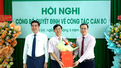Bổ nhiệm Giám đốc Chi nhánh Ngân hàng Chính sách xã hội tỉnh Gia Lai