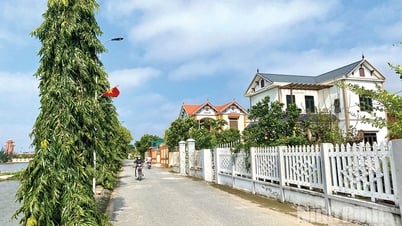 Rộng dài những tuyến đường “ý Đảng - lòng dân”
