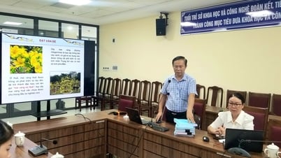 Nghiên cứu bảo tồn và phát triển giống mai vàng Huế