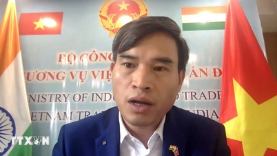 Việt Nam-Ấn Độ thúc đẩy liên kết kinh tế số và công nghệ cao