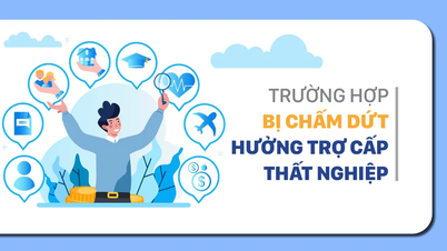 Trường hợp bị chấm dứt hưởng trợ cấp thất nghiệp