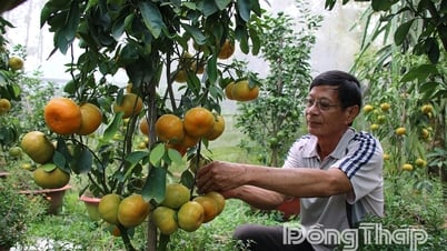Xã Phong Hòa: Vững bước trên hành trình phát triển