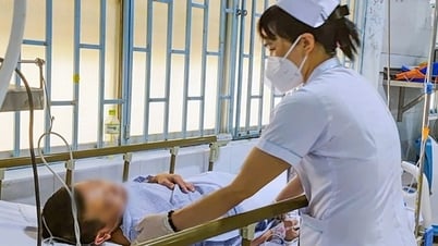 Ăn cá nóc gạo um bún, cặp vợ chồng suýt mất mạng