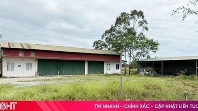 Khu nông nghiệp công nghệ cao FLC thành vùng đất hoang