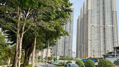 Bất động sản Hà Nội và TP HCM tăng giá mạnh: Cơ hội đầu tư hấp dẫn