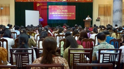 Tập huấn phát triển năng lực lồng ghép giới, thúc đẩy bình đẳng giới