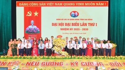 Đại hội đại biểu Đảng bộ các cơ quan Đảng tỉnh nhiệm kỳ 2025 - 2030: Đoàn kết - nêu gương - kỷ cương - đổi mới
