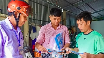 Diệt muỗi vằn để phòng bệnh sốt xuất huyết và bệnh chikungunya