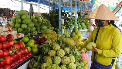 Giá trái cây giảm, nhà vườn gặp khó