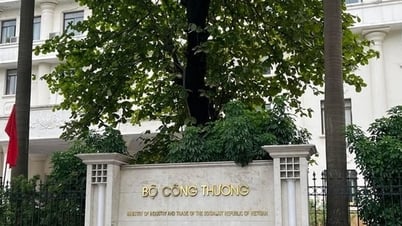 Bộ Công Thương điều tra chống bán phá giá gạch gốm, sứ ốp lát nhập khẩu từ Ấn Độ